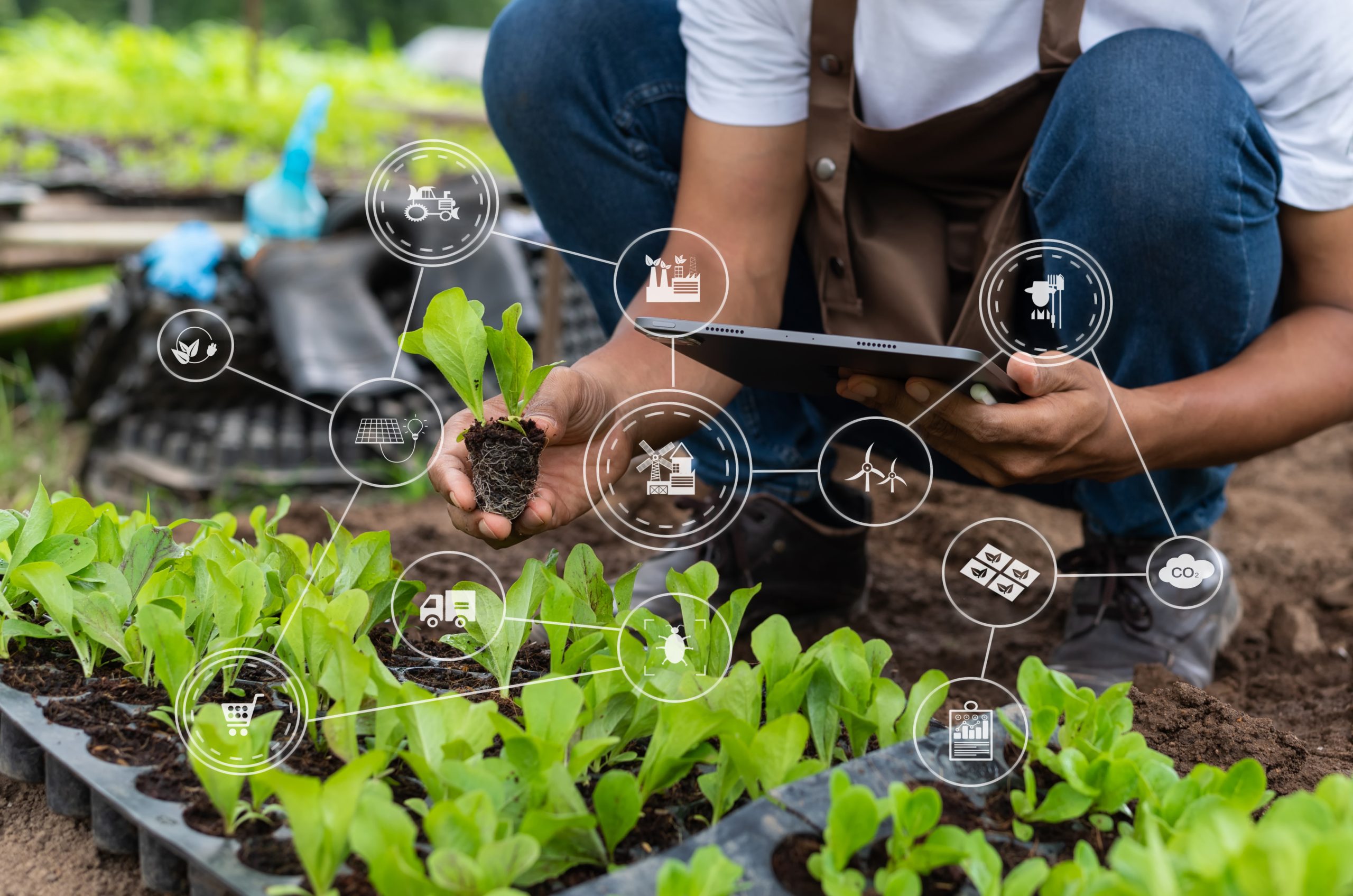 Revolutionizing Farming: Latest IoT Solutions for the Agriculture Industry